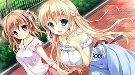Akumade Kore wa - no Monogatari | Thumb 5