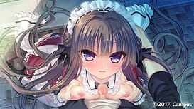 Boukyaku Shitsuji to Koi Suru Ojou-sama no Memoir | Thumb 11