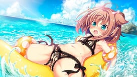Cute Resort -Shiyou yo Ecchi na Activity | Thumb 11