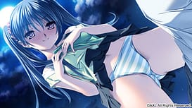 Dolphin Divers | Thumb 5