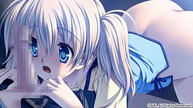 Dolphin Divers | Thumb 8