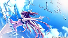 Dolphin Divers | Thumb 13