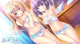 Haruka Ao no Hanayome ni | Thumb 6