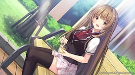 Hibikino-san-chi wa Eroge-ya-san! | Thumb 5