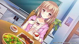 Kanojo wa Tenshi de Imouto de | Thumb 7