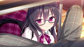Koibana Renai | Thumb 12