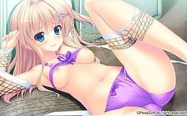 Koisuru Shimai no Sextet | Thumb 8