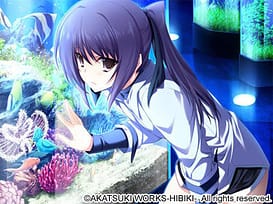 LOVELY X CATION - Plus Bonus | Thumb 15