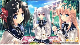 Love 2 Quad | Thumb 12