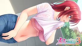 Mesu Tsumami 3 -Shikkari Toshishitazuma to Toshiuezuma to Ero Hame Nikuyoku Seikatsu | Thumb 10