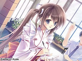 Nadeshiko Drip | Thumb 5