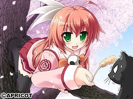 Ouka Sengoku - Nobunaga-chan no Koishite Yabou! | Thumb 14