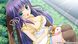 Prism Princess -Futari no Himekishi to Kokan no Monshou | Thumb 8