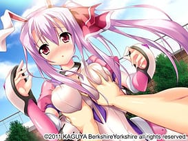 Sakura Iro Quartet | Thumb 5