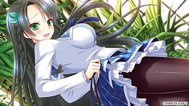 Sakura Synchronicity | Thumb 5