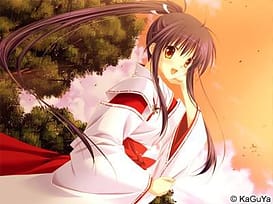 Sara Sara Sasara | Thumb 27