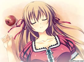 Touma Kojirou no Tantei File -Seikokuka Gakuen Satsujin Jiken | Thumb 7