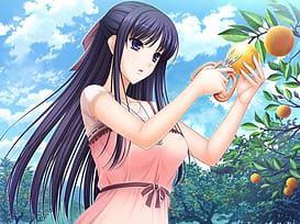 Walkure Romanze Retell II | Thumb 8