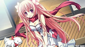 fortissimo EXS Akkordnchsten Phase | Thumb 7