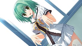 fortissimo EXS Akkordnchsten Phase | Thumb 12