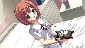 fortissimo EXS Akkordnchsten Phase | Thumb 13