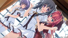 fortissimo EXS Akkordnchsten Phase | Thumb 14