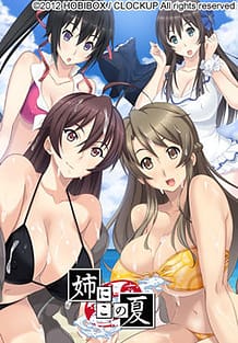 Cover Ane ni Kono Natsu | Download now!